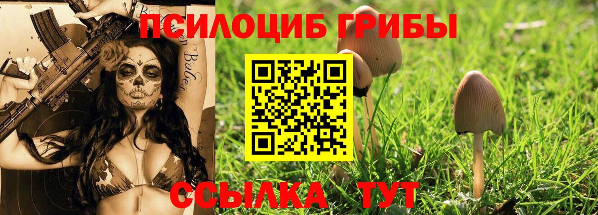 Галлюциногенные грибы мицелий  купить закладку  Котовск  Вход с VPN 